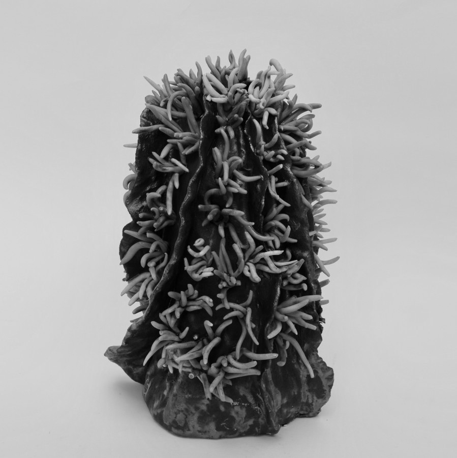 Florence Corbi - Sculpture "les coraux"