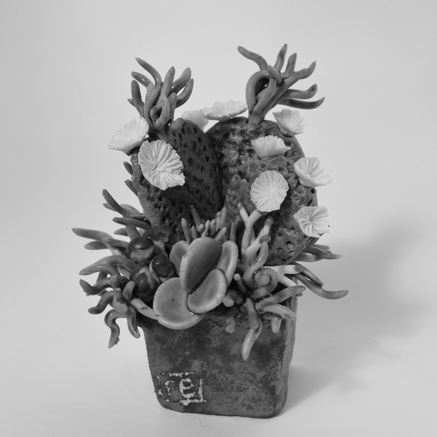 Florence Corbi - Sculptures "Cactus" Porcelaine de Limoges et grés