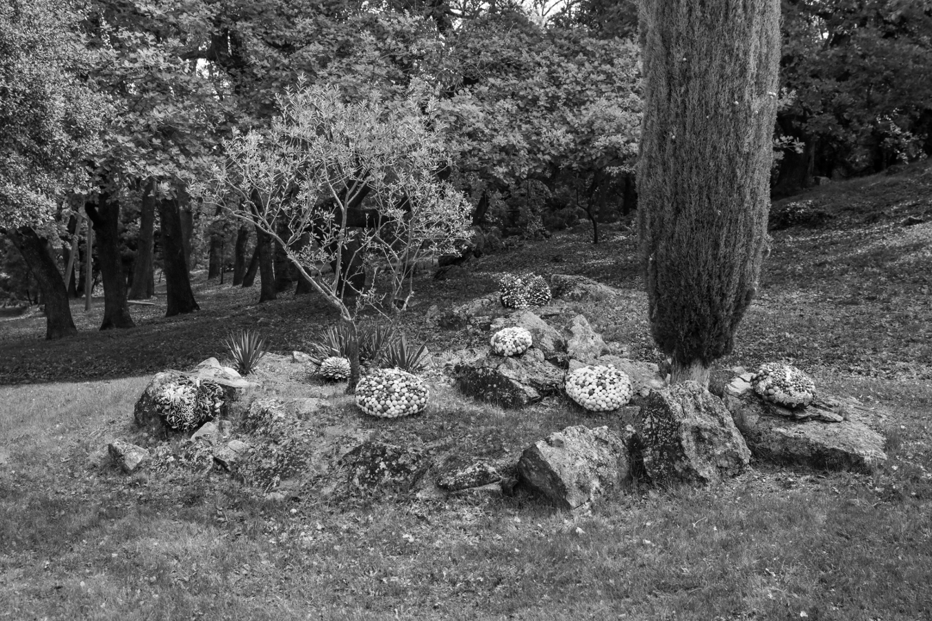 Florence Corbi - Rocks & Rolls - Landart installation