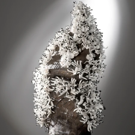 Florence Corbi - TOTEM